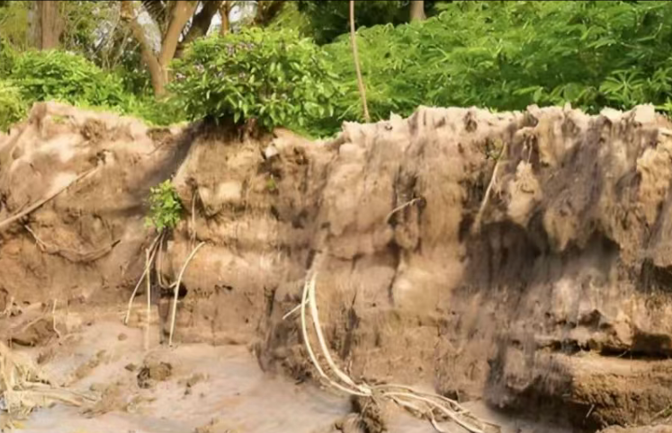 济宁水土保持方案编制代办、微山水土保持方案编制代办、鱼台水土保持方案编制代办、金乡水土保持方案编制代办、梁山水土保持方案编制代办